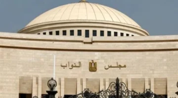 الاستعلام السريع.. طريقة معرفة اللجنة الانتخابية لانتخابات مجلس النواب 2025 عبر موقع الهيئة الوطنية